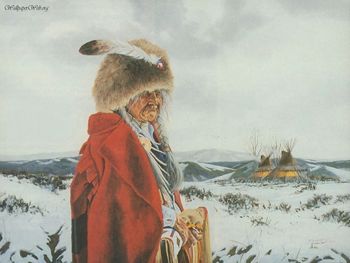 Native American - Solitude screenshot