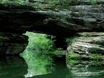 Natural Bridge Pickett State Park Tennessee screenshot