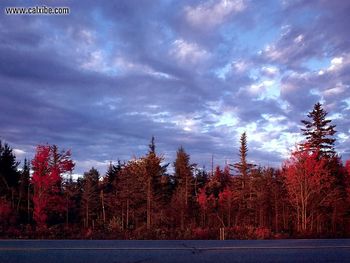 New England Autumn Near Jonesboro Maine screenshot