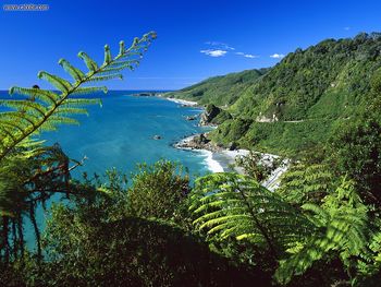 Paparoa National Park South Island New Zealand screenshot