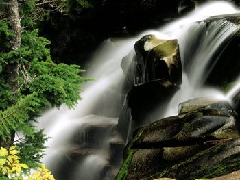 Paradise River Waterfall, Washington screenshot