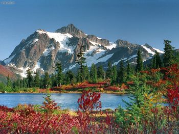 Picture Perfect Snoqualmie National Forest Washington screenshot