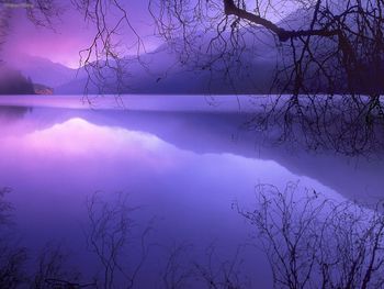 Purple Haze Over Lake Crescent, Olympic National Park, Washington screenshot