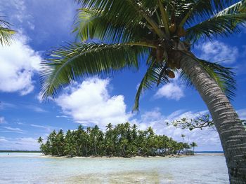 Rangiroa, Tuamotu Islands, French Polynesia screenshot