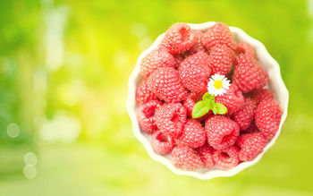 Raspberries screenshot