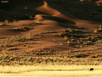 Rising Sands Namib Desert Namibia Africa screenshot