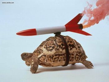 Rocket Turtle screenshot