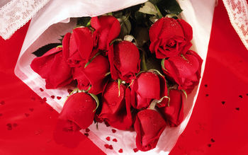 Romantic Roses screenshot