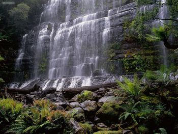 Russell Falls Mount Field National Park Tasmania Australia screenshot