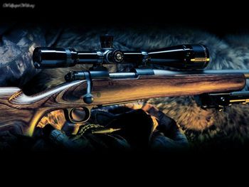 Sniper Rifle screenshot
