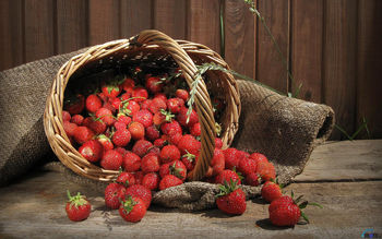 Strawberry Fruits screenshot