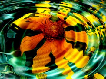 Sunflower in Water screenshot