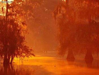 Sunrise Atchafalaya Basin Louisiana screenshot