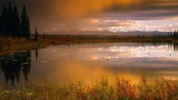 Sunset Clouds Over A Tundra Pond, Mount Mckinley, Denali National Park, Alaska screenshot
