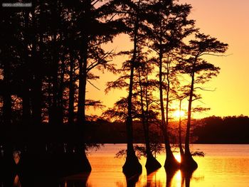 Sunset On Reelfoot Lake Tennessee screenshot