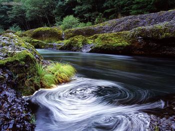 Swirling Edde Clackamas River Oregon screenshot