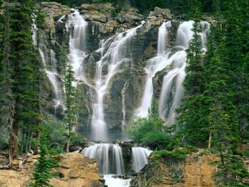 Tangle Creek Falls Jasper National Park Canada screenshot
