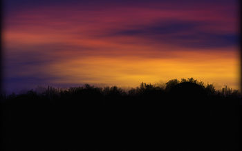 The Sunset screenshot