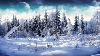 Trees Full Of Snow screenshot