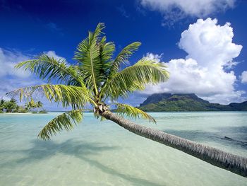 Tropical Escape, Bora Bora, French Polynesia screenshot