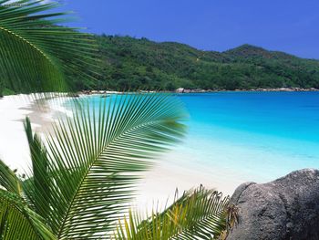 Tropical Retreat Seychelles screenshot
