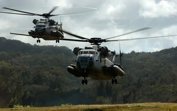 Two CH 53D Sea Stallion Helicopters screenshot