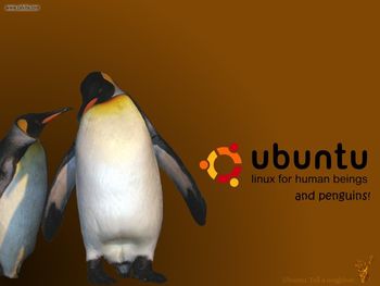 Ubuntu, Linux screenshot