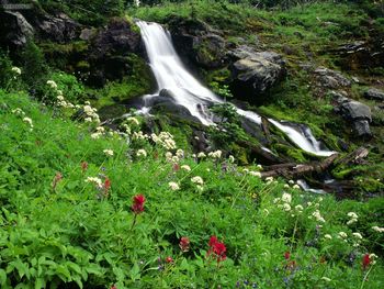Waterfall Mount Adams Washington screenshot