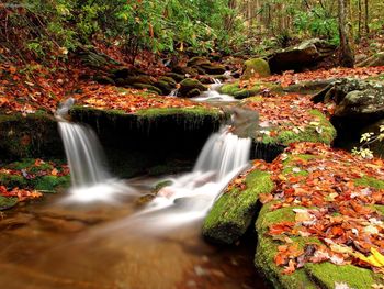 Wesser Creek In Autumn Nantahala National Forest North Carolina screenshot