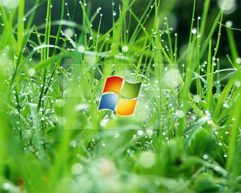 Windows Glass Effect screenshot