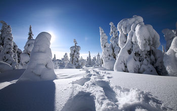 Winter in Finland screenshot