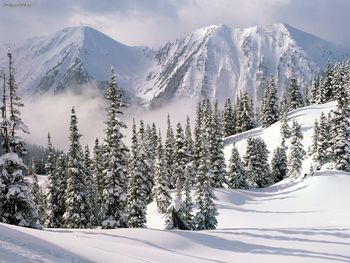 Winter Wonderland, British Columbia, Canada screenshot