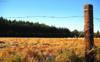 Wire Fenced Field screenshot