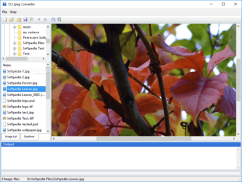 123 Jpeg Converter screenshot 2