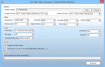 1AV SWF Video Converter screenshot 3