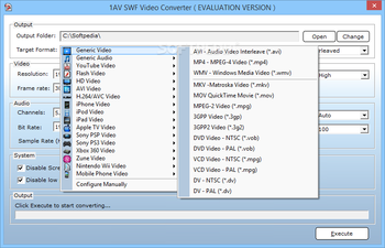 1AV SWF Video Converter screenshot 4