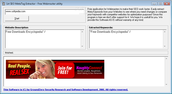 1st SEO Meta Extractor screenshot