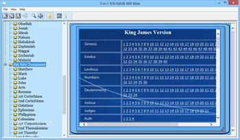 3-in-1 KJV-NASB-NIV Bible (formerly 3-in-1 Audio & HTML Bible) screenshot