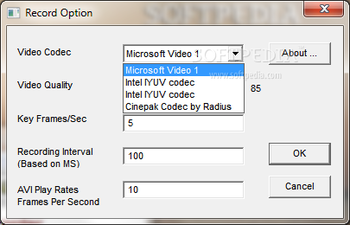 321Soft Screen Video Recorder screenshot 5