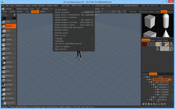 3D-Coat (formerly 3D-Brush) screenshot 9