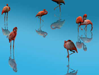3D Flamingos screenshot
