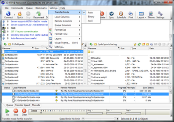 3D-FTP screenshot 11