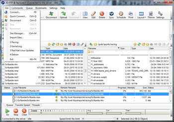 3D-FTP screenshot 4