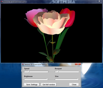 3D_Ikebana Screensaver screenshot 2