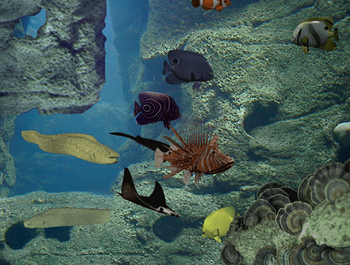 3D Rocky Reef screenshot