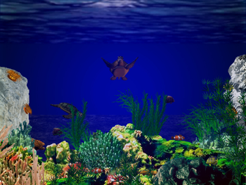 3D Sea Turtle Paradise screenshot