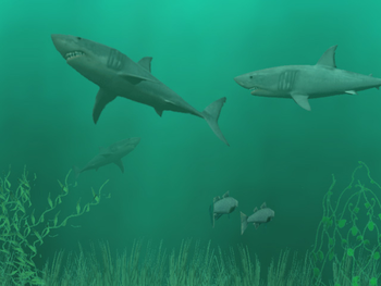 3D Sharks screenshot