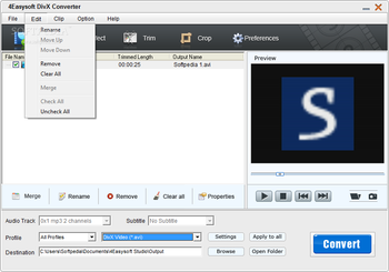 4Easysoft DivX Converter screenshot 4