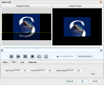 4Easysoft DivX Converter screenshot 8