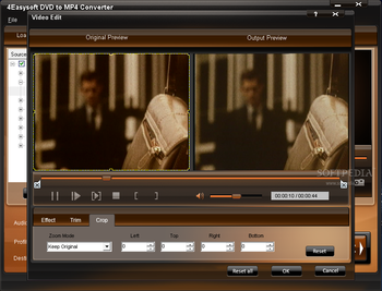 4Easysoft DVD to MP4 Converter screenshot 5